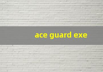 ace guard exe